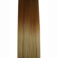 #T29/60 Ombre 22" NANO