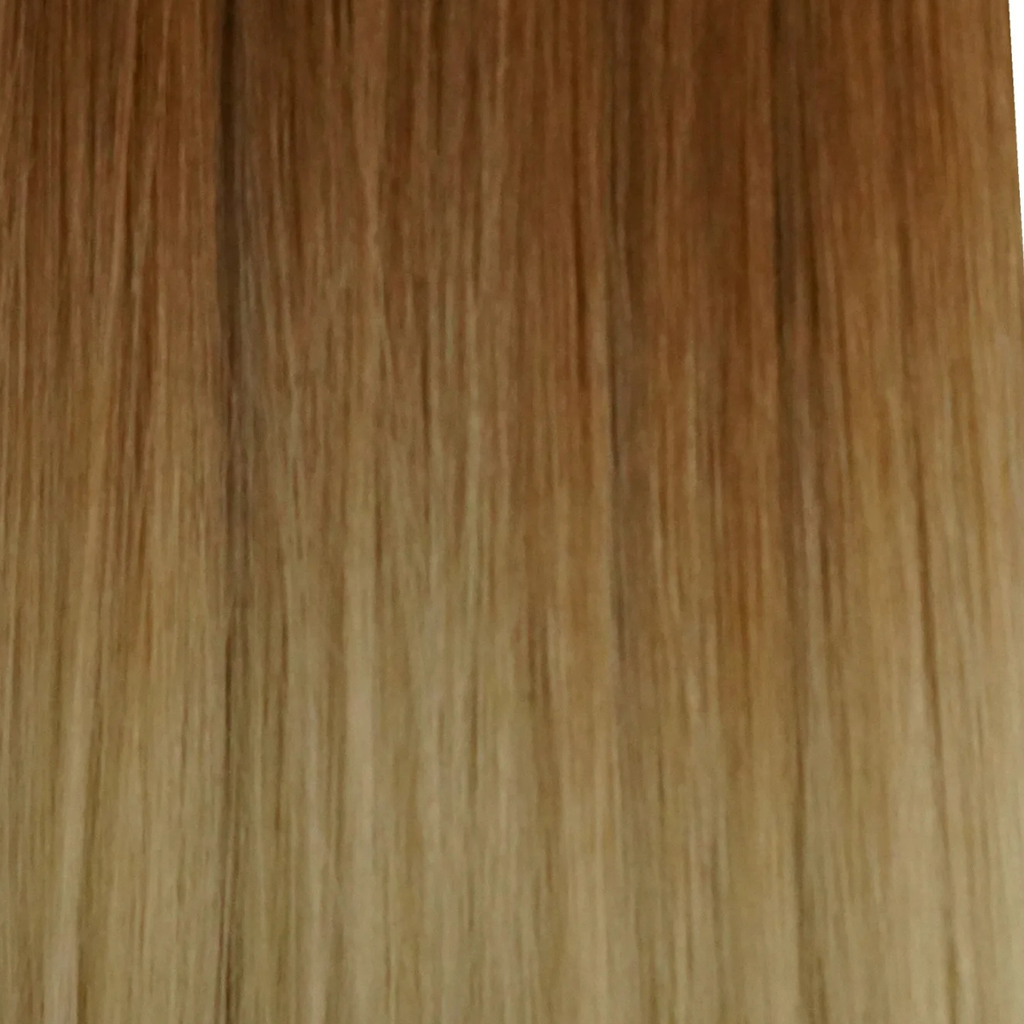 #T29/60 Ombre 22" NANO